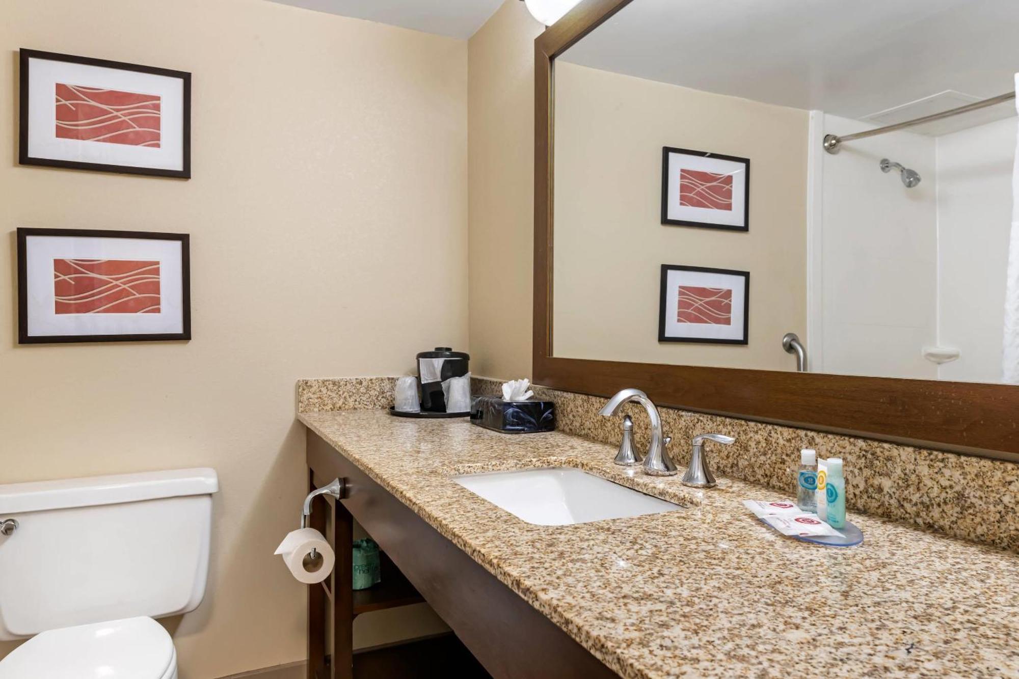 בלומינגטון Comfort Inn Msp Airport - Mall Of America מראה חיצוני תמונה