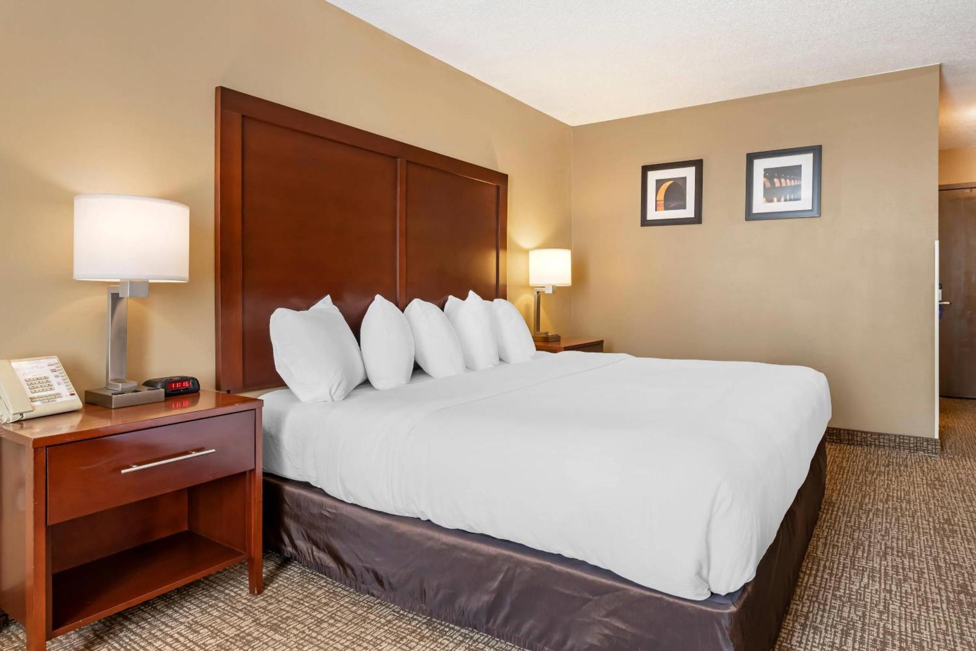 בלומינגטון Comfort Inn Msp Airport - Mall Of America מראה חיצוני תמונה